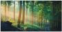 Artland Artprint Herfstbos aan de Duisitzkarsee Herfstmorgen in het bos als artprint van aluminium artprint voor buiten artprint op linnen poster in verschillende maten. maten - Thumbnail 1