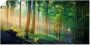 Artland Artprint Herfstbos aan de Duisitzkarsee Herfstmorgen in het bos als artprint van aluminium artprint voor buiten artprint op linnen poster in verschillende maten. maten - Thumbnail 1