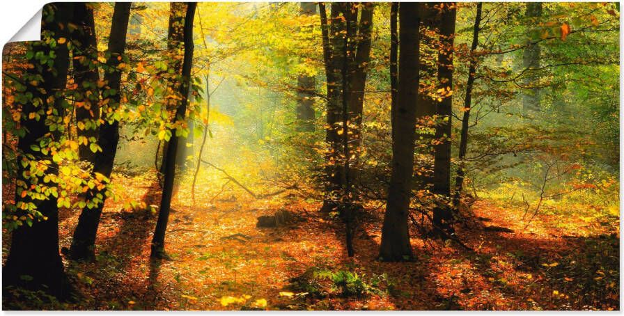 Artland Artprint Herfstlicht in het bos als artprint op linnen poster muursticker in verschillende maten