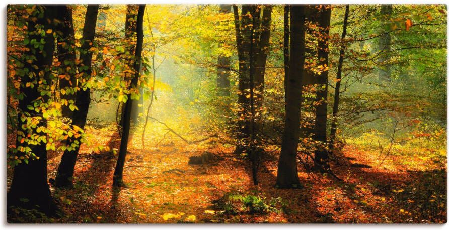 Artland Artprint Herfstlicht in het bos als artprint op linnen poster muursticker in verschillende maten