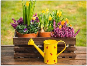 Artland Artprint Houten kistje heide narcis gieter als artprint van aluminium artprint op linnen muursticker of poster in verschillende maten