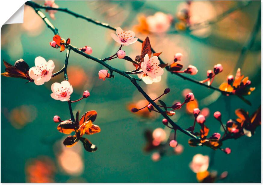 Artland Artprint Japanse kers Sakura bloemen als artprint op linnen poster in verschillende formaten maten