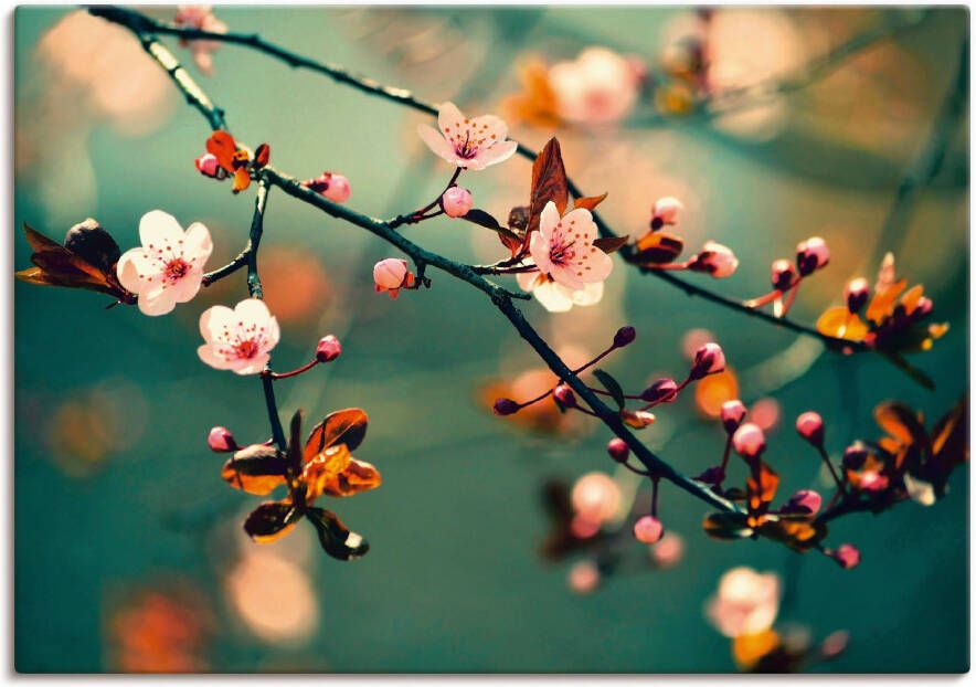 Artland Artprint Japanse kers Sakura bloemen als artprint op linnen poster in verschillende formaten maten