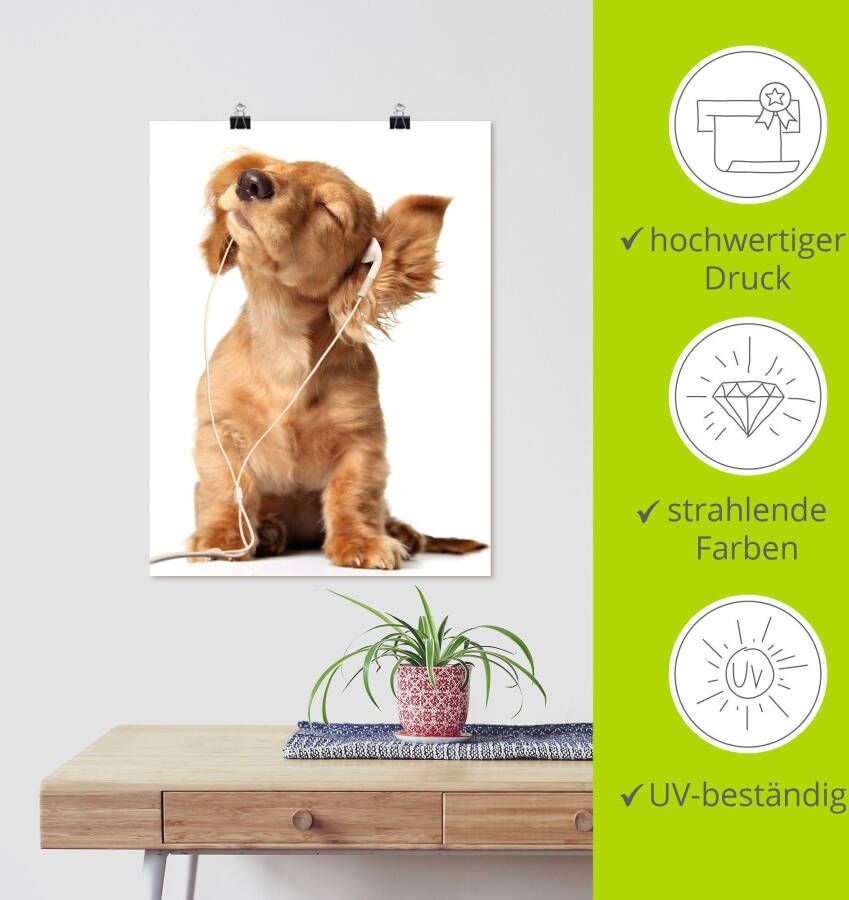 Artland Artprint Jonge hond die naar muziek door hoofdtelefoon luistert als artprint op linnen poster muursticker in verschillende maten