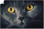 Artland Artprint Kattenogen als artprint van aluminium artprint voor buiten artprint op linnen poster in verschillende maten. maten - Thumbnail 1