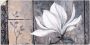 Artland Artprint Klassieke magnolia als artprint van aluminium artprint voor buiten artprint op linnen poster muursticker - Thumbnail 1