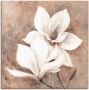 Artland Artprint Klassieke magnolia's als artprint van aluminium artprint voor buiten artprint op linnen poster muursticker - Thumbnail 1