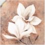 Artland Artprint Klassieke magnolia's als artprint van aluminium artprint voor buiten artprint op linnen poster muursticker - Thumbnail 1