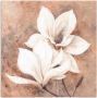 Artland Artprint Klassieke magnolia's als artprint van aluminium artprint voor buiten artprint op linnen poster muursticker - Thumbnail 1