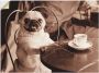 Artland Artprint Koffie mopshond als artprint op linnen poster muursticker in verschillende maten - Thumbnail 1