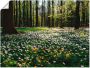 Artland Artprint Lentebos bedekt met anemonen als artprint op linnen poster in verschillende formaten maten - Thumbnail 1