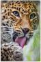 Artland Artprint Leopard als artprint op linnen poster muursticker in verschillende maten - Thumbnail 1