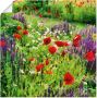 Artland Artprint Lupines en klaprozen als poster muursticker in verschillende maten - Thumbnail 1