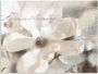 Artland Artprint Magnolie_Detail als artprint van aluminium artprint voor buiten artprint op linnen poster muursticker - Thumbnail 1