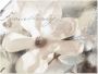 Artland Artprint Magnolie_Detail als artprint van aluminium artprint voor buiten artprint op linnen poster muursticker - Thumbnail 1