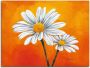 Artland Artprint Margrieten op oranje als artprint van aluminium artprint op linnen muursticker of poster in verschillende maten - Thumbnail 1