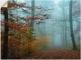 Artland Artprint Mist in herfstbos als artprint op linnen poster muursticker in verschillende maten - Thumbnail 1