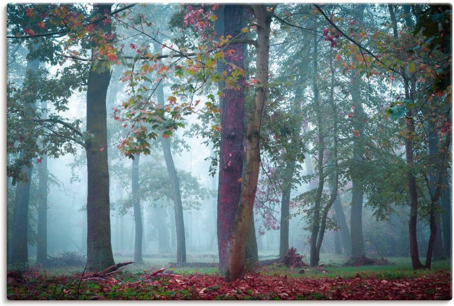 Artland Artprint Mist in het bos als artprint van aluminium artprint voor buiten poster muursticker in diverse maten formaten - Foto 1