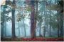 Artland Artprint Mist in het bos als artprint van aluminium artprint voor buiten poster muursticker in diverse maten formaten - Thumbnail 1