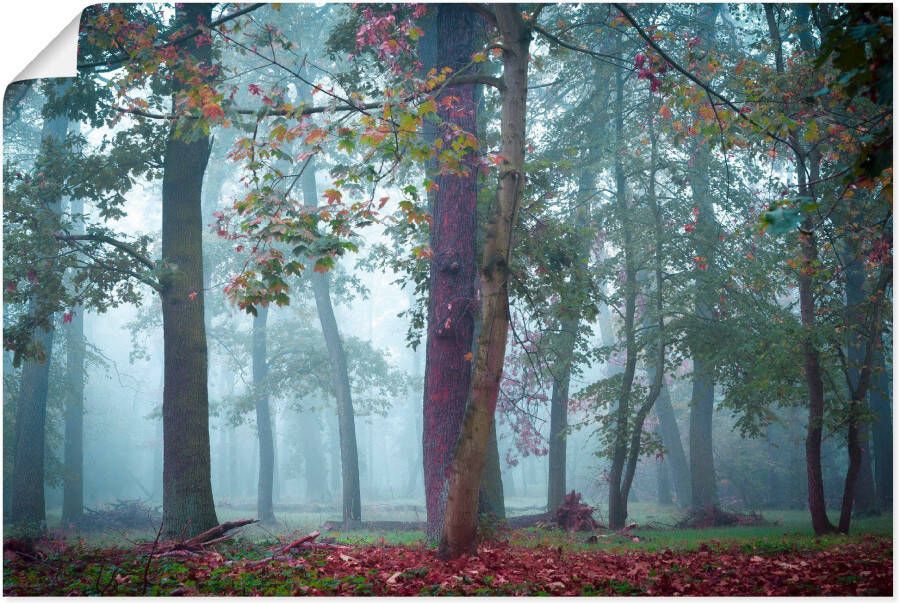 Artland Artprint Mist in het bos als artprint van aluminium artprint voor buiten poster muursticker in diverse maten formaten