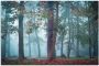 Artland Artprint Mist in het bos als artprint van aluminium artprint voor buiten poster muursticker in diverse maten formaten - Thumbnail 1