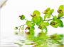 Artland Artprint Mooie orchidee met groene achtergrond als artprint op linnen muursticker in verschillende maten - Thumbnail 1