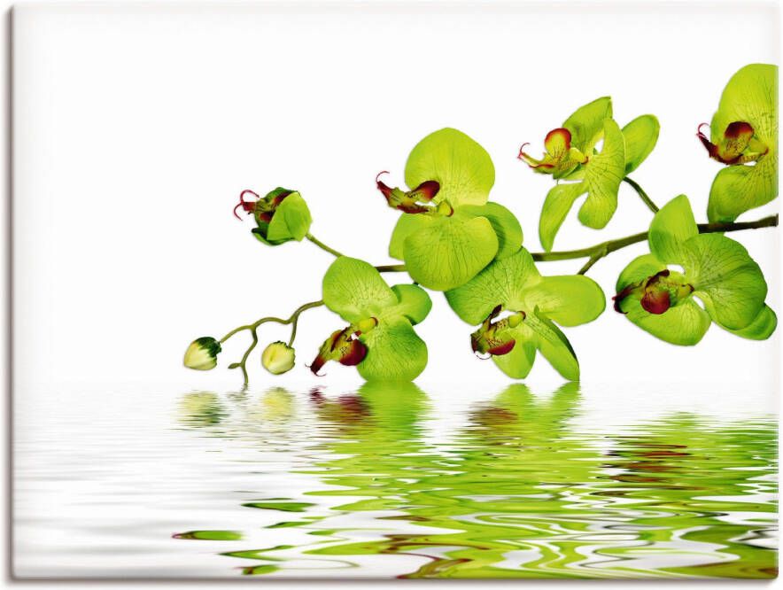 Artland Artprint Mooie orchidee met groene achtergrond als artprint op linnen muursticker in verschillende maten - Foto 1