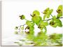 Artland Artprint Mooie orchidee met groene achtergrond als artprint op linnen muursticker in verschillende maten - Thumbnail 1