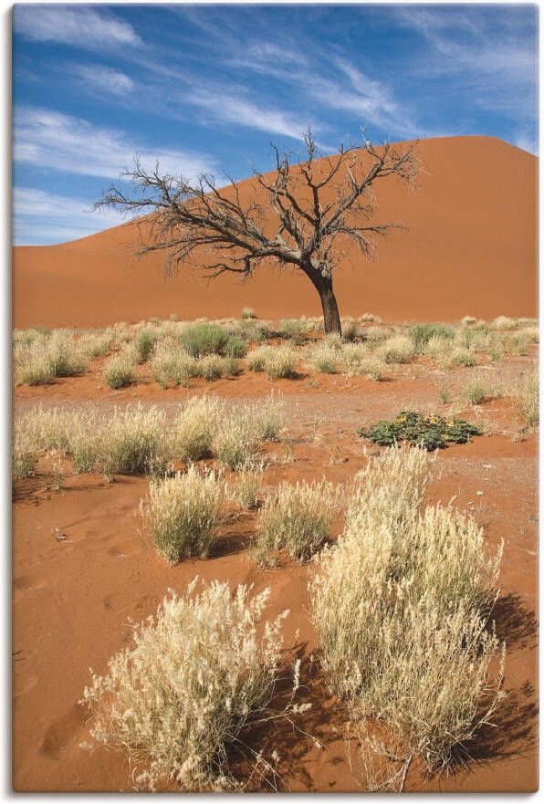 Artland Artprint Namib-woestijn 2 als artprint op linnen poster in verschillende formaten maten