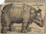 Artland Artprint Neushoorn. 1515. Voor koning Emanuel. als artprint op linnen muursticker of poster in verschillende maten - Thumbnail 1