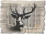 Artland Artprint op hout Edelhert collage - Thumbnail 1