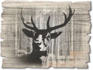 Artland Artprint op hout Edelhert collage