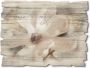 Artland Artprint op hout Magnolie_Detail - Thumbnail 1