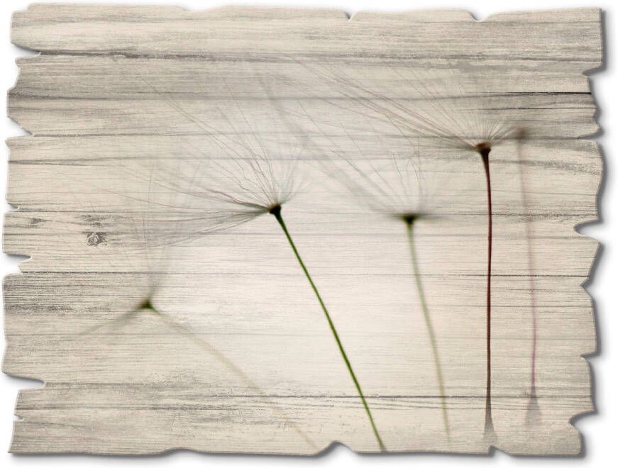 Artland Artprint op hout Pluizebolzaadjes I