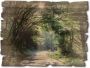 Artland Artprint op hout Zonnig bos - Thumbnail 1