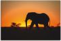 Artland Artprint op linnen Afrikaanse olifant bij zonsondergang - Thumbnail 1