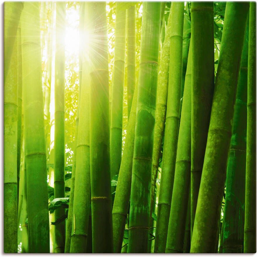 Artland Artprint op linnen Aziatisch bamboebos in ochtendlicht