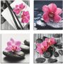 Artland Artprint op linnen Aziatische compositie orchidee zen (4-delig) - Thumbnail 1