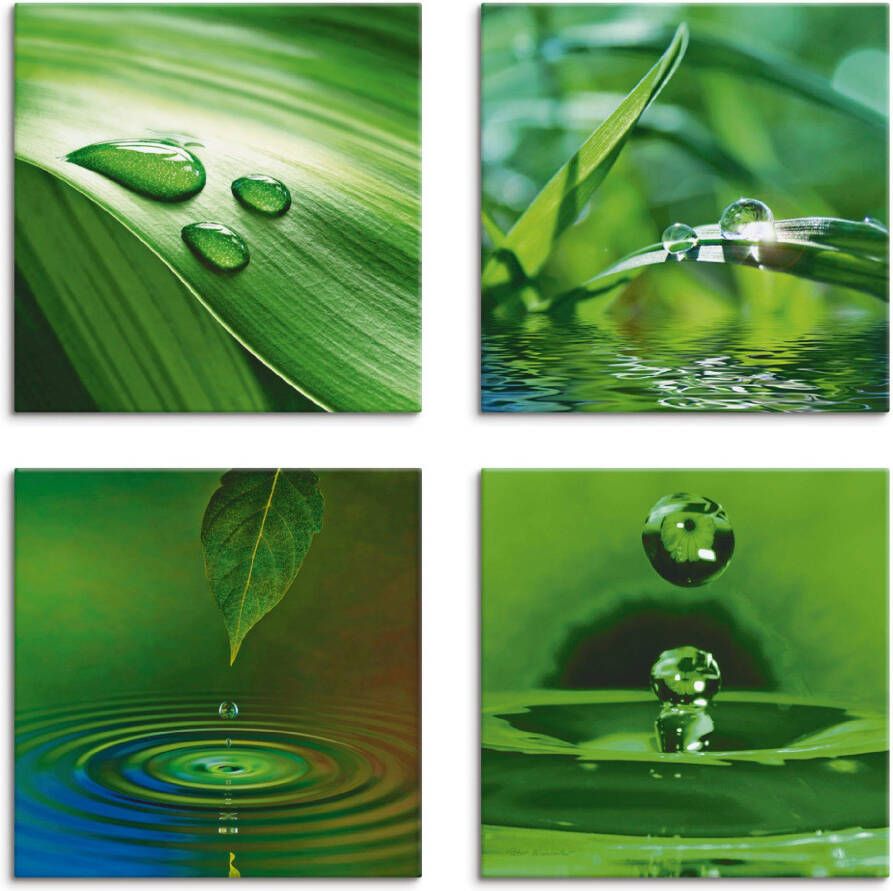 Artland Artprint op linnen Blad gras waterdruppels set van 4 verschillende maten (4-delig)