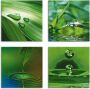 Artland Artprint op linnen Blad gras waterdruppels set van 4 verschillende maten (4-delig) - Thumbnail 1