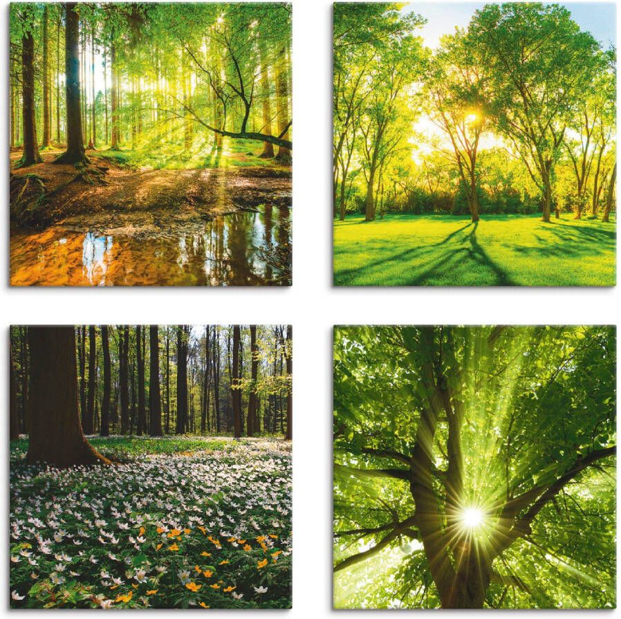 Artland Artprint op linnen Bos beek voorjaar windroos zon boom (4-delig)