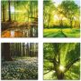 Artland Artprint op linnen Bos beek voorjaar windroos zon boom (4-delig) - Thumbnail 1