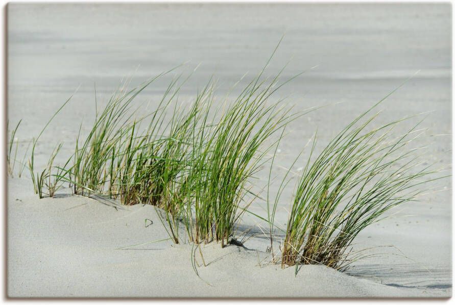 Artland Artprint op linnen Grassen aan het strand gespannen op een spieraam