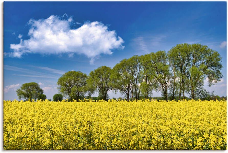 Artland Artprint op linnen Koolzaadveld in de lente gespannen op een spieraam