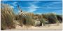 Artland Artprint op linnen Meeuw en stern in duinlandschap - Thumbnail 1