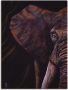 Artland Artprint op linnen Olifant gespannen op een spieraam - Thumbnail 1