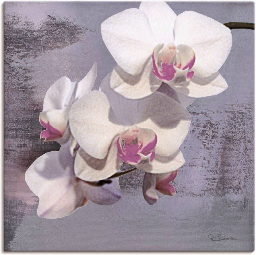Artland Artprint op linnen Orchideeën voor violet II