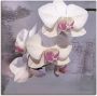 Artland Artprint op linnen Orchideeën voor violet II - Thumbnail 1