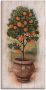 Artland Artprint op linnen Sinaasappelboompje met hout-look - Thumbnail 1