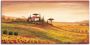 Artland Artprint op linnen Toscaans landschap met klaprozen - Thumbnail 1